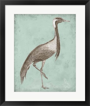 Framed Sepia &amp; Spa Heron III Print