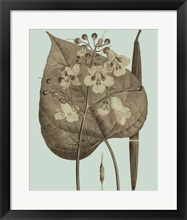 Framed Flowering Trees II Print