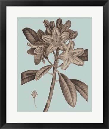 Framed Flowering Trees IV Print