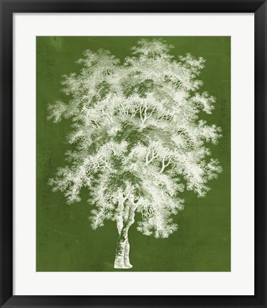 Framed Modern Arbor III Print