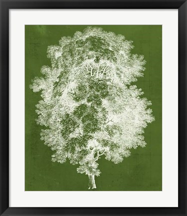 Framed Modern Arbor IV Print