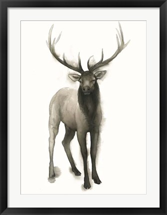 Framed Majestic Wildlife II Print