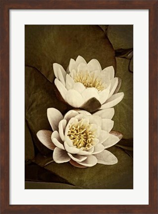 Framed Lily Pad Duo I Print