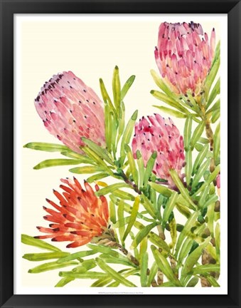 Framed Watercolor Tropical Flowers I Print