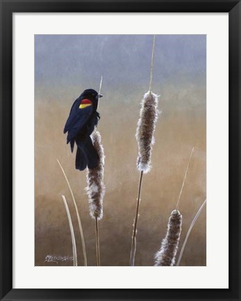 Framed Redwing Morning I Print