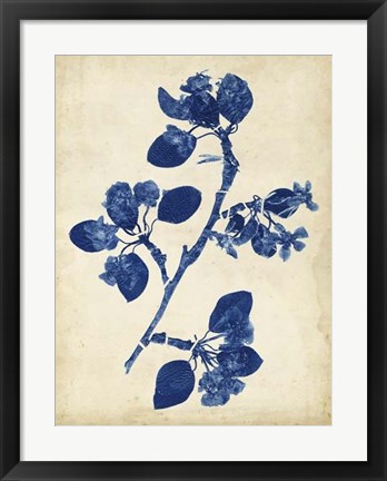 Framed Indigo Leaf Study IV Print