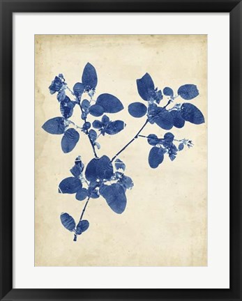 Framed Indigo Leaf Study V Print