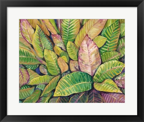 Framed Tropical Close Up I Print