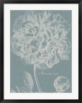 Framed Graceful Peony I Print