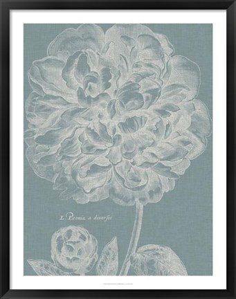 Framed Graceful Peony II Print