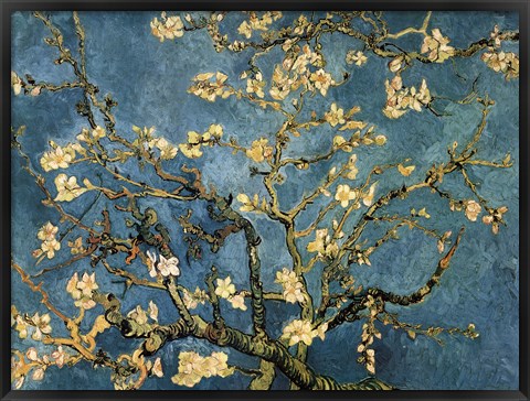 Framed Blossoming Almond Tree, Saint-Remy, c.1890 Print