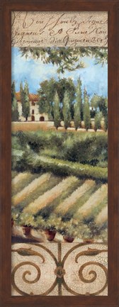 Framed Tuscany Villa I Print