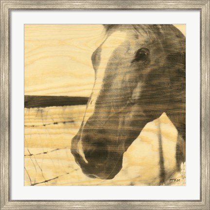 Framed Portrait of a Horse Print