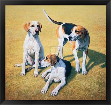 Framed Gary Stinton - Cotswold Foxhounds [Ed 9] Print