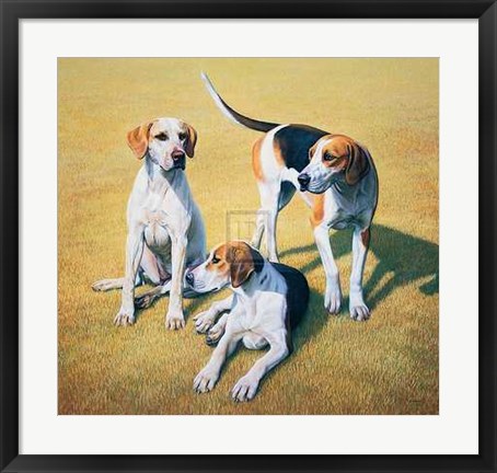 Framed Gary Stinton - Cotswold Foxhounds [Ed 9] Print