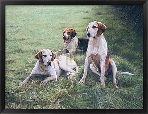 Framed Gary Stinton - Duke of Beaufort&#39;s Hounds [Ed 9] 29x23 Print Print