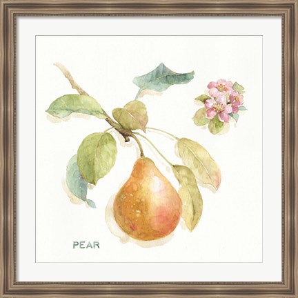 Framed Orchard Bloom II Print