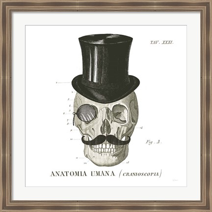 Framed Dandy Bones I Print