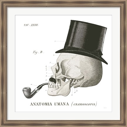 Framed Dandy Bones II Print