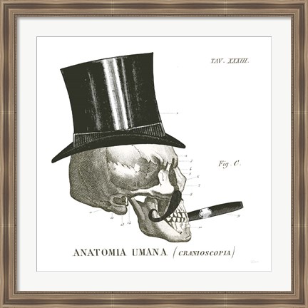 Framed Dandy Bones III Print