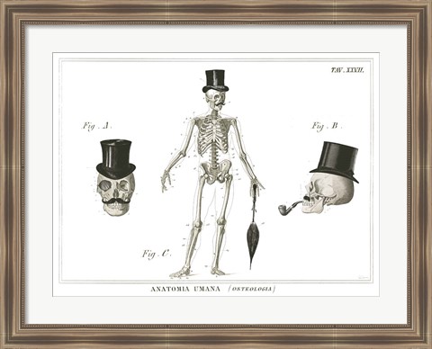 Framed Dandy Bones Print