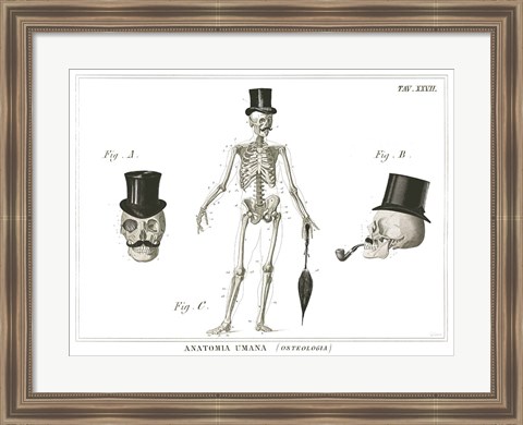 Framed Dandy Bones Print