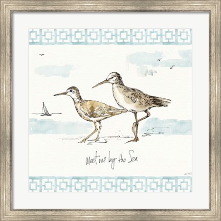 Framed Sandpiper Sea IV Print