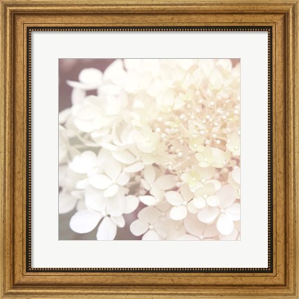 Framed Hydrangea Dream II Print