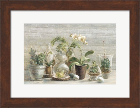 Framed Greenhouse Orchids on Wood Print