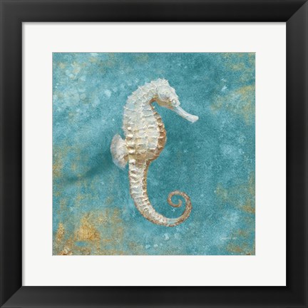 Framed Treasures from the Sea I Aqua Print