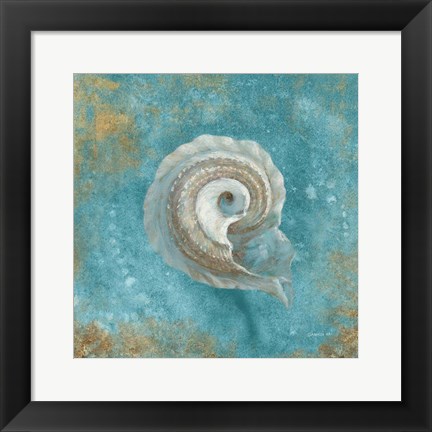 Framed Treasures from the Sea III Aqua Print