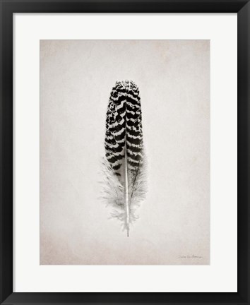 Framed Feather I BW Print