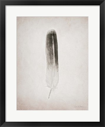 Framed Feather II BW Print