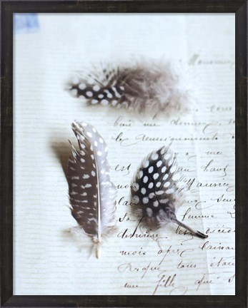 Framed Plume Letters VI Print