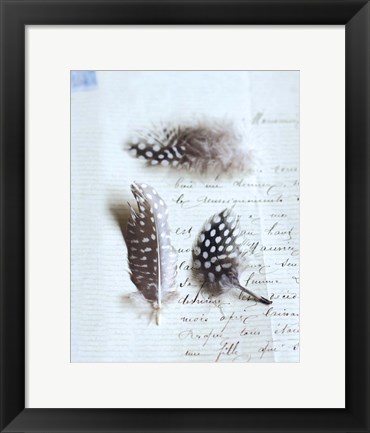 Framed Plume Letters VI Print