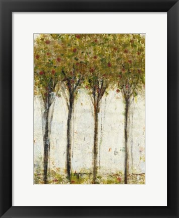 Framed Apple Orchard I Print