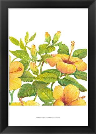 Framed Watercolor Hibiscus II Print