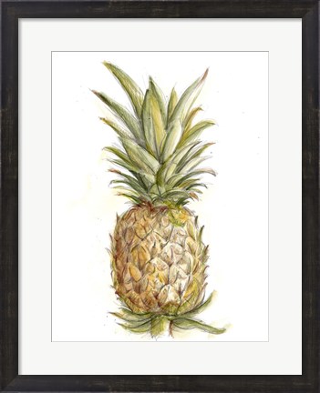Framed Pineapple Sketch II Print