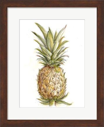 Framed Pineapple Sketch II Print