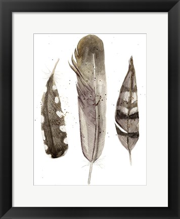 Framed Earthtone Feathers II Print