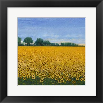 Framed Field of Sunflowers I Print