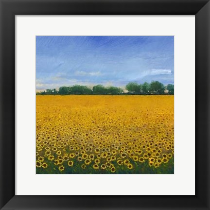 Framed Field of Sunflowers II Print