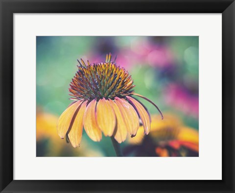 Framed Mellow Yellows I Print