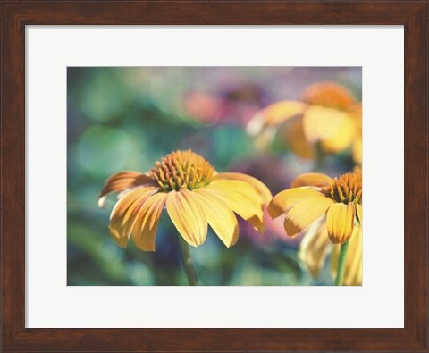 Framed Mellow Yellows II Print