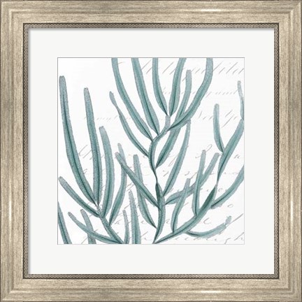 Framed Aqua Marine I Print