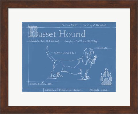 Framed Blueprint Basset Hound Print