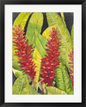 Framed Red Tropical Flowers I Print