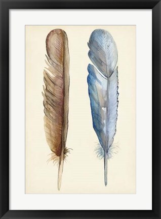 Framed Plumage I Print