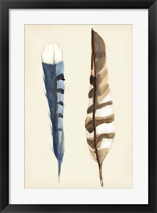 Framed Plumage III Print