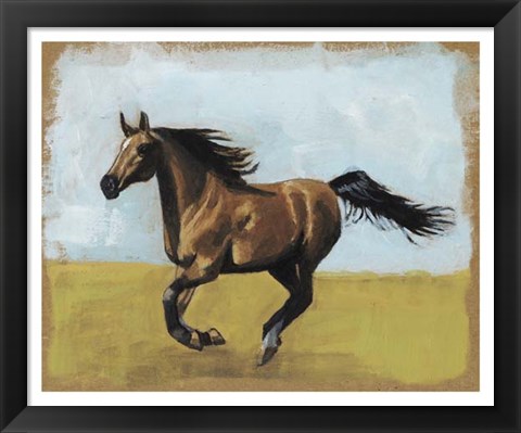 Framed Equestrian Studies II Print